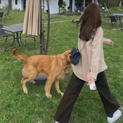 潜伏